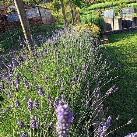 Casa Vacanze La Cicala Pontremoli Esterno foto