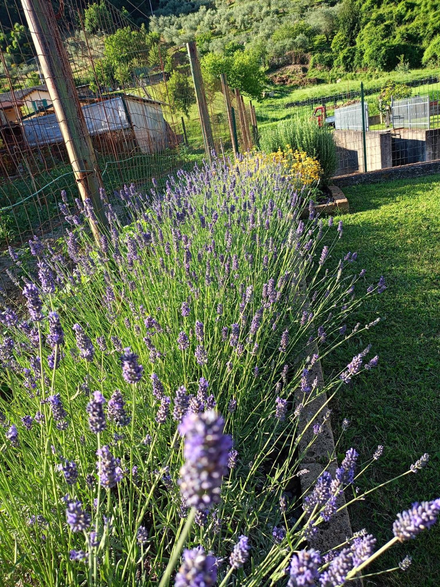 Casa Vacanze La Cicala Pontremoli Esterno foto